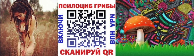 Купить закладки  Камешково  Псилоцибиновые грибы мухоморы 